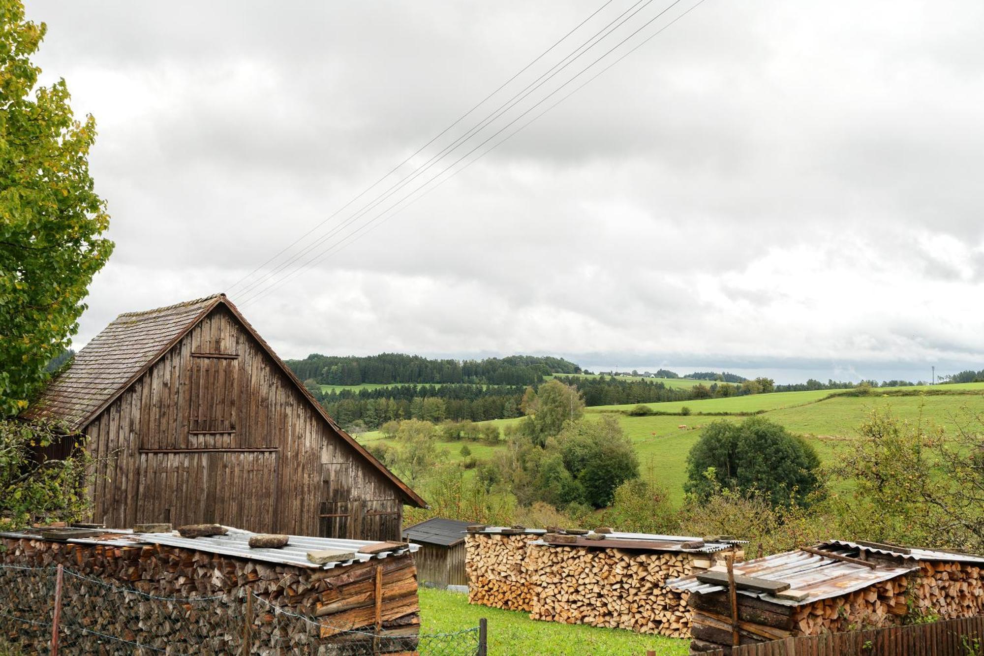 Ferienhaus Ziegler โลซบวร์ก ภายนอก รูปภาพ